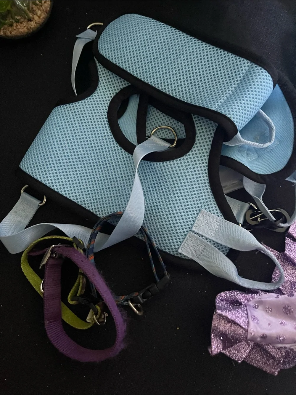 48 piece small dog accessories